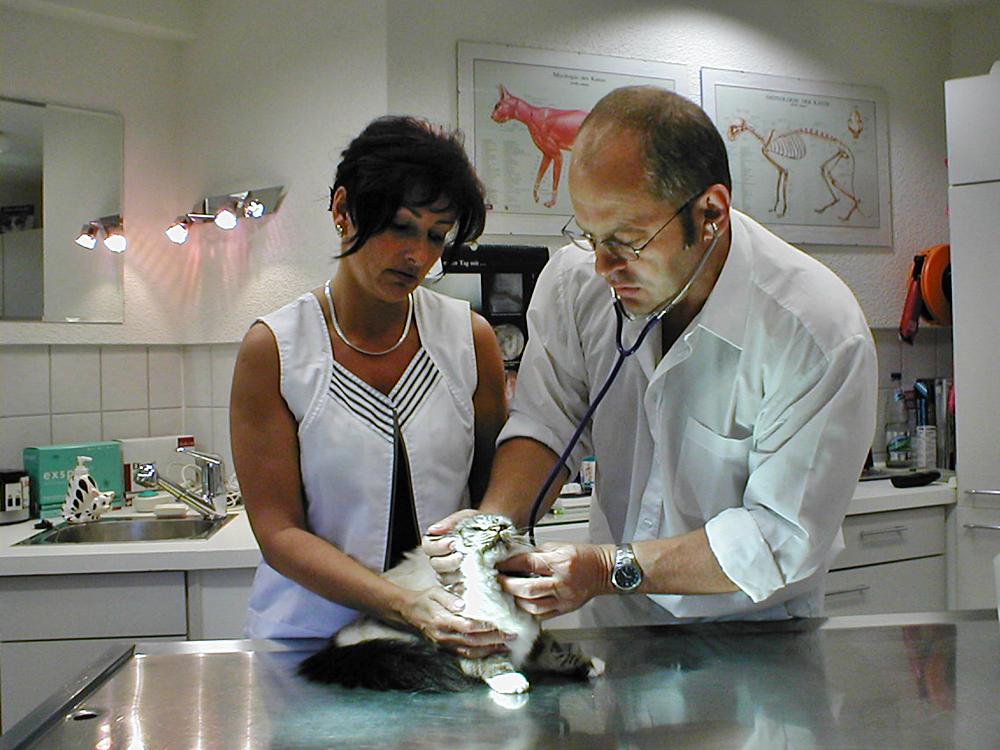 Dr. Rahm bei der Behandlung eines Patienten